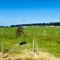  Terreno (Parcela) en venta en Llanquihue, Los Lagos, LLanquihue, Llanquihue