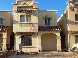 소노라PropertyTypeNameBedroom, Hermosillo, 소노라