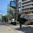 4,106.34 m² Office for rent in Ciudad de México, Miguel Hidalgo, Ciudad de México