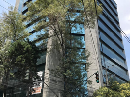 1,200 m² Office for rent in Miguel Hidalgo, Mexico City, Miguel Hidalgo