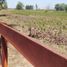  Land for sale in Zarate, Buenos Aires, Zarate