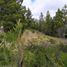  Land for sale in Rio Negro, Bariloche, Rio Negro