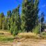  Land for sale in Neuquen, Confluencia, Neuquen