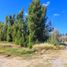  Land for sale in Confluencia, Neuquen, Confluencia