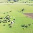  Land for sale in Uruguay, Entre Rios, Uruguay