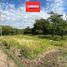 Land for sale in Junin, San Luis, Junin