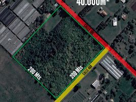  Land for sale in La Plata, Buenos Aires, La Plata