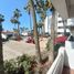 2 Habitación Apartamento en alquiler en Tijuana, Baja California, Tijuana, Baja California