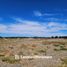  Land for sale in Confluencia, Neuquen, Confluencia