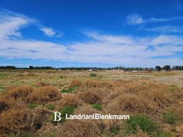  Land for sale in Confluencia, Neuquen, Confluencia