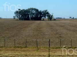  Terreno (Parcela) en venta en Iriondo, Santa Fe, Iriondo