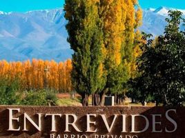  Terreno (Parcela) en venta en Lujan De Cuyo, Mendoza, Lujan De Cuyo