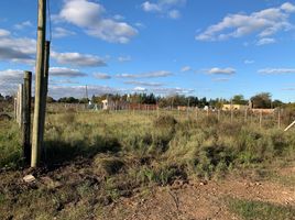  Grundstück zu verkaufen in Berazategui, Buenos Aires, Berazategui