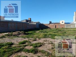  Terreno (Parcela) en venta en Rio Negro, General Roca, Rio Negro