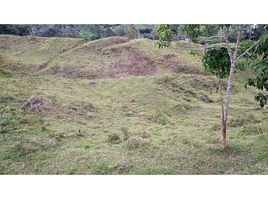  Terreno (Parcela) en venta en Dagua, Valle Del Cauca, Dagua