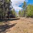  Terreno (Parcela) en venta en Rio Negro, Bariloche, Rio Negro