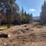  Land for sale in Rio Negro, Bariloche, Rio Negro