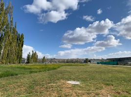  Terreno (Parcela) en venta en Neuquen, Confluencia, Neuquen