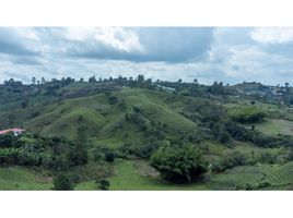  Land for sale in Marinilla, Antioquia, Marinilla