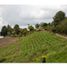  Land for sale in Marinilla, Antioquia, Marinilla