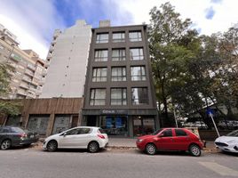 Estudio Apartamento en venta en General Pueyrredon, Buenos Aires, General Pueyrredon