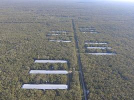 Estudio Quinta en venta en Lazaro Cardenas, Quintana Roo, Lazaro Cardenas, Quintana Roo