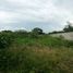  Terreno (Parcela) en venta en Merida, Yucatán, Merida, Yucatán