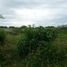  Terreno (Parcela) en venta en Merida, Yucatán, Merida, Yucatán