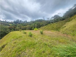 Terrain à vendre à Retiro, Antioquia, Retiro