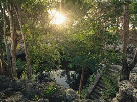  Terreno (Parcela) en venta en Valladolid, Yucatán, Valladolid