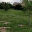  Terreno (Parcela) en venta en Valladolid, Yucatán, Valladolid