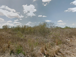  Terreno (Parcela) en venta en Merida, Yucatán, Merida, Yucatán