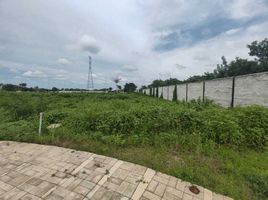 Grundstück zu verkaufen in Conkal, Yucatan, Conkal
