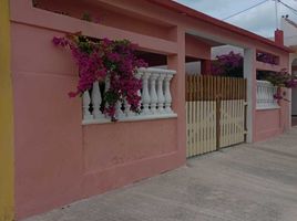 在Progreso, Yucatan出租的1 卧室 屋, Progreso