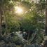  Land for sale in Espita, Yucatan, Espita