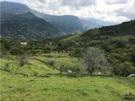  Terrain for sale in Copacabana, Antioquia, Copacabana