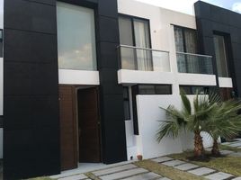 3 Habitación Departamento en alquiler en Queretaro, Querétaro, Queretaro, Querétaro