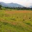  Terrain for sale in Copacabana, Antioquia, Copacabana