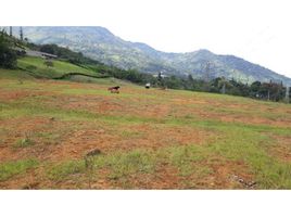  Terrain for sale in Copacabana, Antioquia, Copacabana