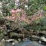  Land for sale in Arboletes, Antioquia, Arboletes