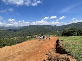  Terreno (Parcela) en venta en San Rafael, Antioquia, San Rafael