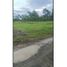  Land for sale in Cordoba, Monteria, Cordoba