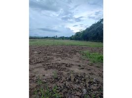  Land for sale in Cordoba, Monteria, Cordoba