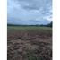  Land for sale in Cordoba, Monteria, Cordoba