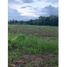  Land for sale in Cordoba, Monteria, Cordoba