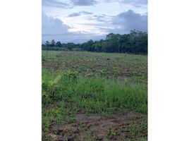  Land for sale in Cordoba, Monteria, Cordoba