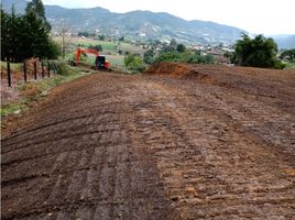  Land for sale in El Carmen De Viboral, Antioquia, El Carmen De Viboral