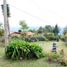 4 Bedroom House for sale in Guarne, Antioquia, Guarne