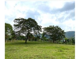  Terreno (Parcela) en venta en Angelopolis, Antioquia, Angelopolis