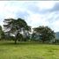  Land for sale in Angelopolis, Antioquia, Angelopolis